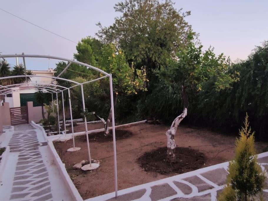 Penthouse Studio Next To The Sea Σαλαμίνα Εξωτερικό φωτογραφία